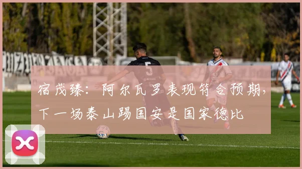 宿茂臻：阿尔瓦罗表现符合预期，下一场泰山踢国安是国家德比