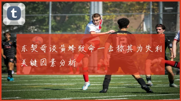 东契奇谈黄蜂致命一击称其为失利关键因素分析