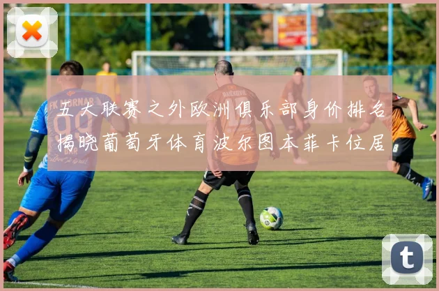 五大联赛之外欧洲俱乐部身价排名揭晓葡萄牙体育波尔图本菲卡位居前三